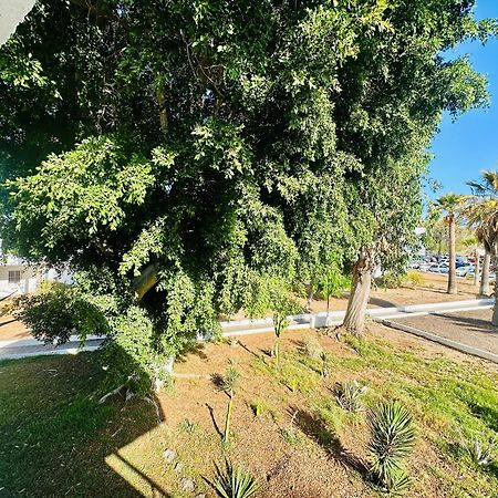 Apartamento Eureka Costa Del Silencio Exteriör bild