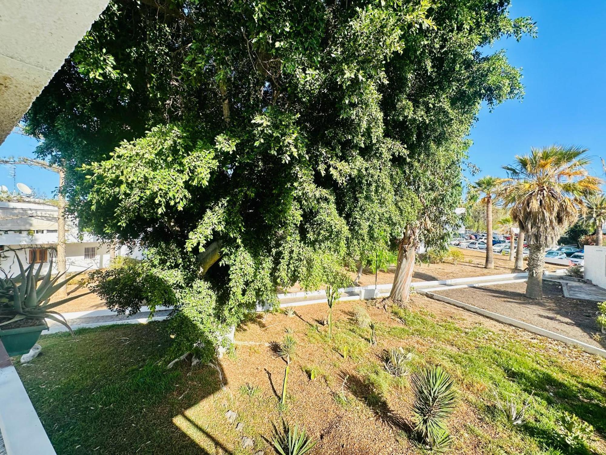 Apartamento Eureka Costa Del Silencio Exteriör bild